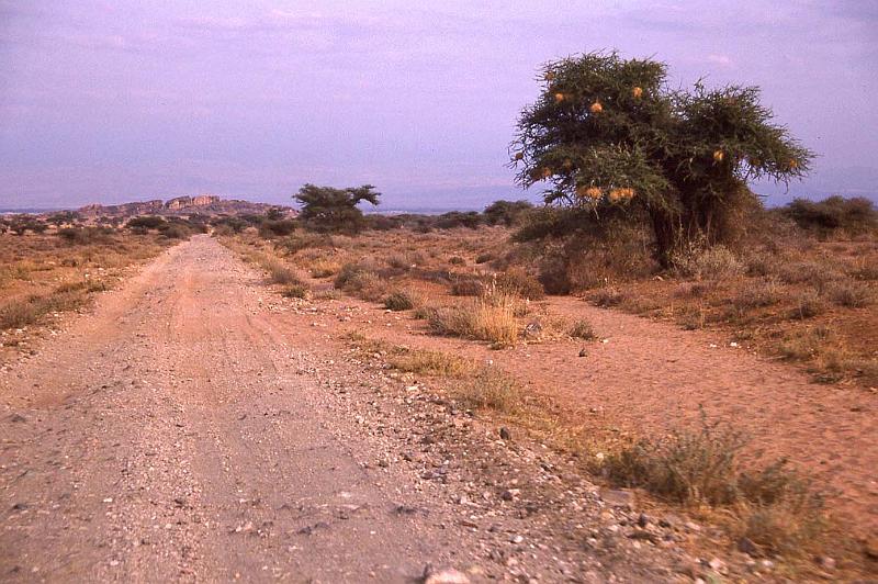 WT 1400 207-14 Kenya.jpg